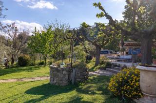 Terre Luberon - Pertuis - 9