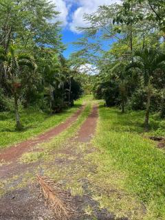 Lotus Lava Cottage - Pahoa - 6