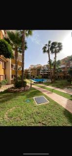 La Recoleta - Torrevieja - 8