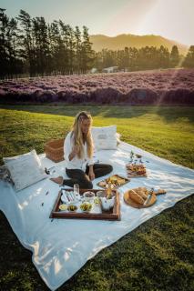 Lavender Farm Boutique Guest House - 9