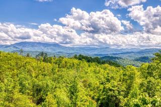 Seclusion-Breathtaking Mountain Views! - Sevierville - 7