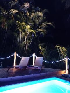 La Selva Maison en bois et sa piscine privée - Sainte-Anne - 4