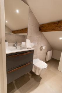 Demeure 18e, 2 ch proche lac et thermes parking wifi calme - Thonon-les-Bains - 3