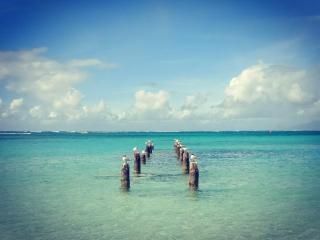La Selva Maison en bois et sa piscine privée - 9