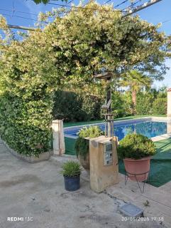 Casa rural Alemanes - Moratalla - 5