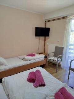 Privatan smeštaj Velić - Donji Milanovac - 5