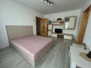 Aparthotel Brasov Neptun - Braşov - 9