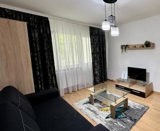 NEO Cinci - Ultra Central - Family Friendly - Timişoara - 7