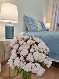 Albina apartman - 5