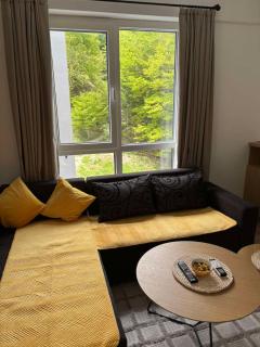 NINA LUX Apartment - Mavrovo - 5
