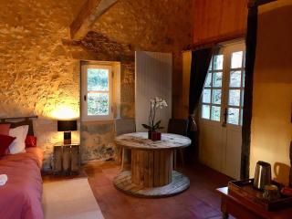Large country cottage - Lusignan-Petit - 2