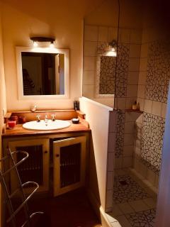Large country cottage - Lusignan-Petit - 1