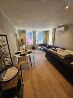 Newly renovated 1 bedroom apartment in heart of Bergen - Bergen - 0