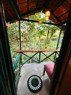 Green Heaven - Madikeri - 6
