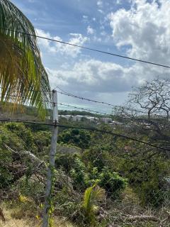 Botanic Garden Suite, relaxing, hideaway - Tobago - 4