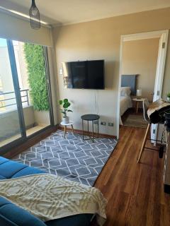 Furnished, Good Connection to the City - Concepción - 9