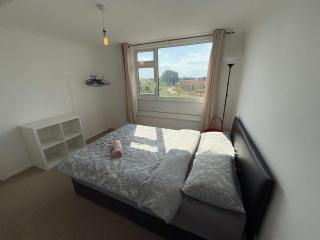 Chelmsford 3 Bedroom Accommodation with parking - Chelmsford - 0