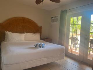 Beso Del Sol Resort - Dunedin - 1