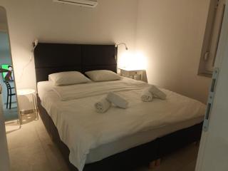 Beachfront House Ivana with Pool - renovated 2025 - Cesarica - 1