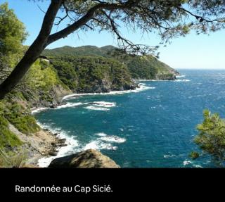 Studio les Sablettes vue mer - La Seyne-sur-Mer - 1