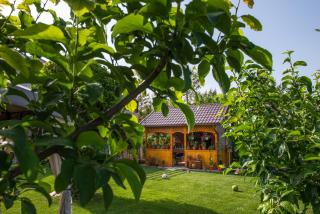 Casa AlexAndre - Vama Veche - 6