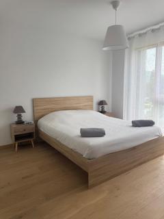 O'petit nid sauge T2 45m place de parking - Aix-les-Bains - 9