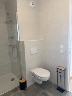 O'petit nid sauge T2 45m place de parking - Aix-les-Bains - 1