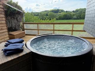 Le Chalet belle Vue - Saint-Martin-de-la-Lieue - 5