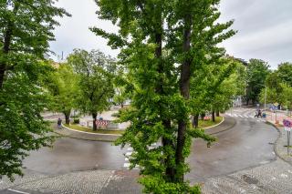 City center 2BR next to Sea - Varna - 8