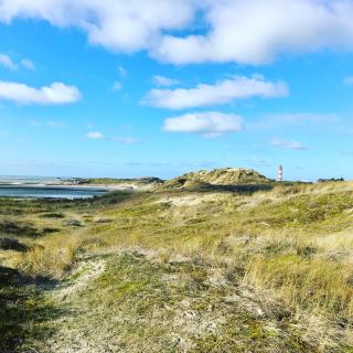 Chambre chez l'habitant - Cosy - Baie d'Authie - Berck-sur-Mer - 1
