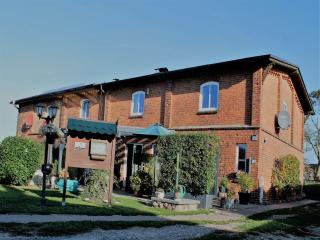 Apartment with terrace near the Baltic Sea - Wahrstorf - 4