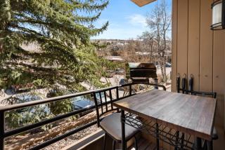 Cozy Condo in Snowmass Village - 4