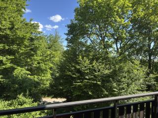 Apartment in Kellerwald near Edersee Lake - Frankenau - 9