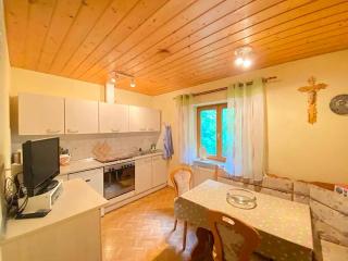 Comfortable apartment in Zenting in Lower Bavaria - Zenting - 6
