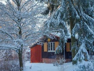 Forest-Edge Apartment - 0