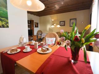 Apartment in Bavarian Forest Mountain View - Drachselsried - 4