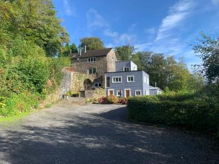The Mill at Glynhir - Ammanford - 0