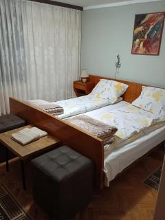 Vila Petrov - Lukavica - 3