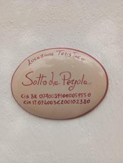 Sotto la pergola - 8