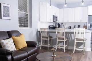 Shared, spacious condo near UChicago and Obama Center - 1