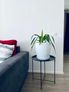 Nerisa Apartment - Prishtinë - 7