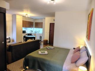 Great view studio Pirin Palace - Bansko - 2