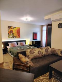 Great view studio Pirin Palace - Bansko - 3