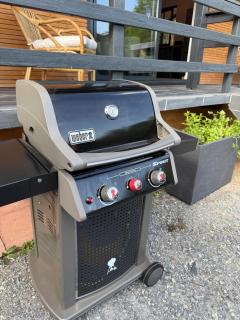 Le Chalet belle Vue - Saint-Martin-de-la-Lieue - 1