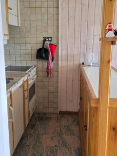 Charmant petit appartement - Ovronnaz - 3