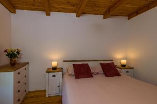 Cottage in green Istria - 3