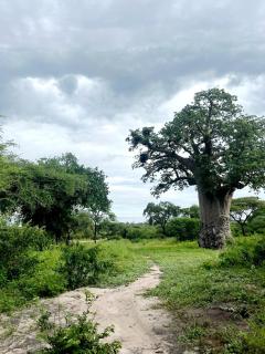 Hennies Hideout Botswana - Kachikau - 9