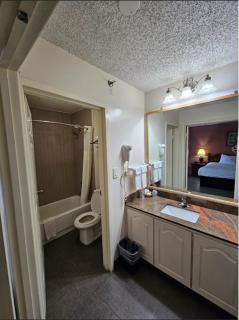 Royal Suites Baton Rouge near LSU and Airport - Baton Rouge - 3