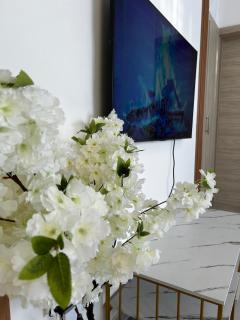 Comfy apartment city located - Santiago de los Caballeros - 9