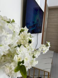 Comfy apartment city located - Santiago de los Caballeros - 7